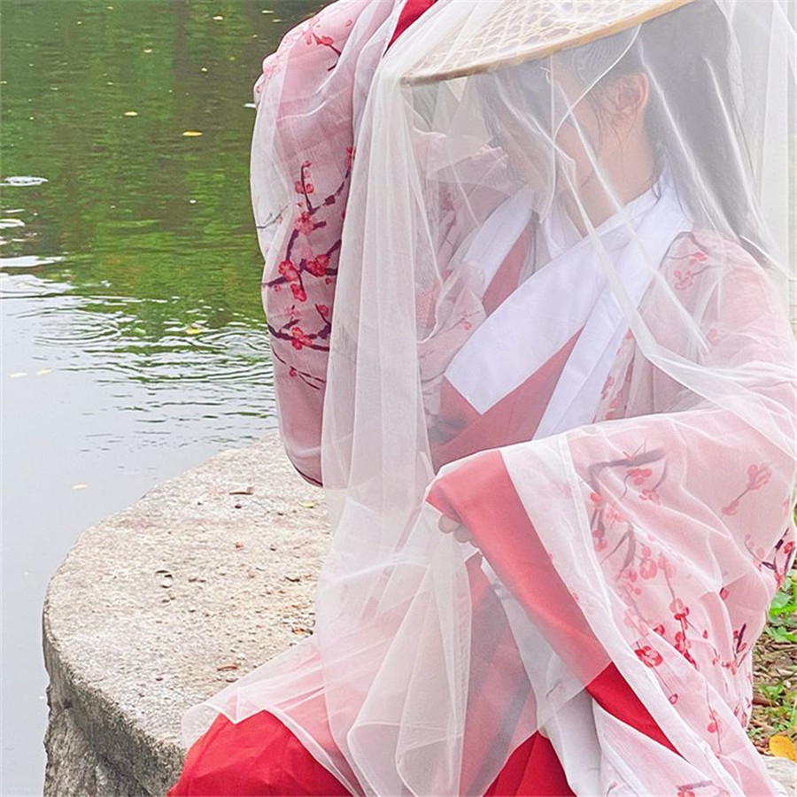 Chinese Traditional Dress for  - Ethnic Dress Fashion Show 评论和价格