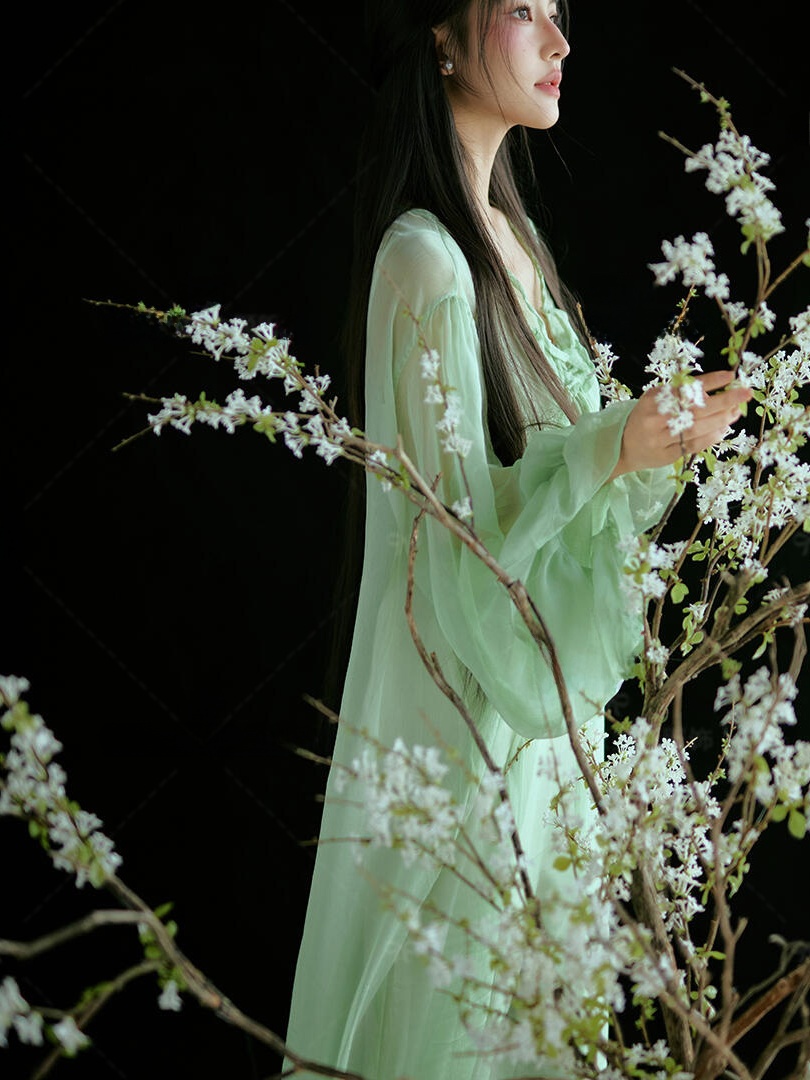 Chinese Style Green Dress Trad - Ethnic Fashion Studio 评论和价格
