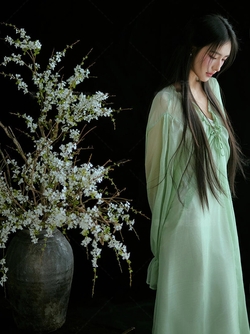 Chinese Style Green Dress Trad - Ethnic Fashion Studio 评论和价格