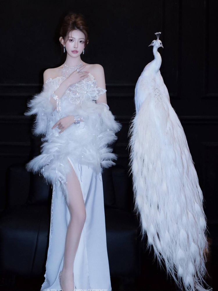 Fashionable See-through Clothi - Ethnic Fashion Studio 评论和价格