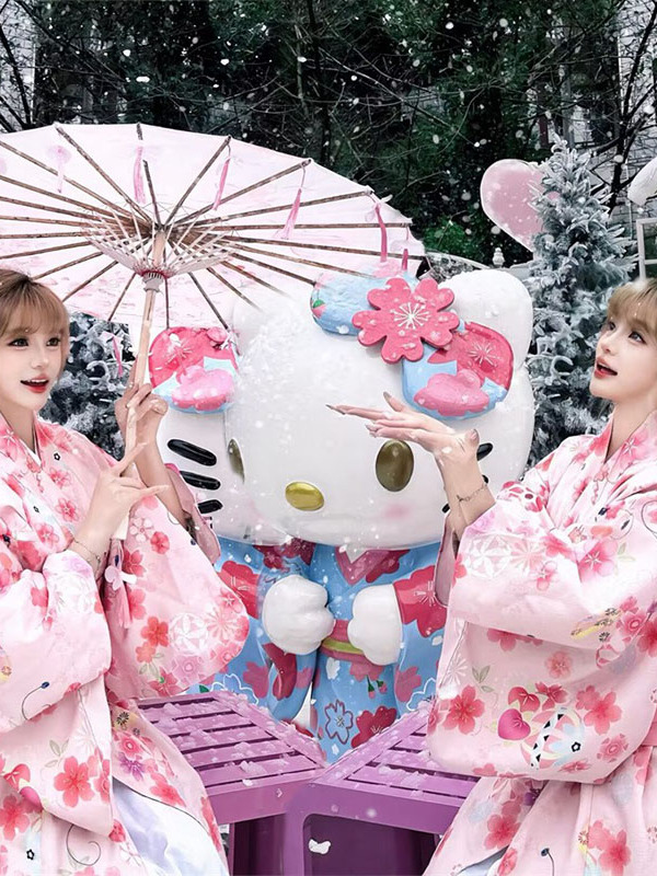 Traditional Japanese Kimono Ba - Ethnic Fashion Online 评论和价格